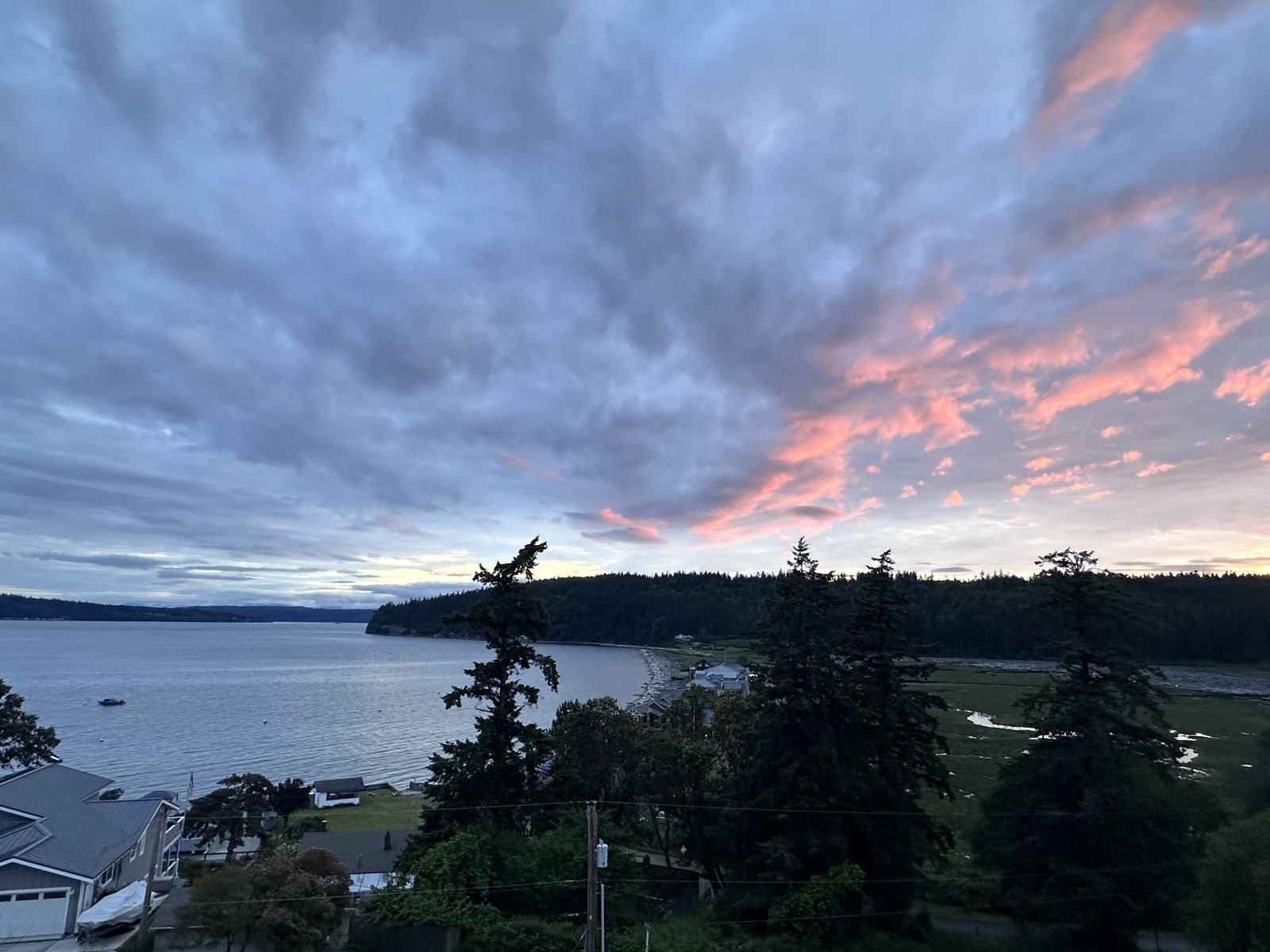 Evening view over the water, with pink clouds above evergreen trees and the shoreline